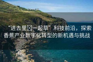 “進去里?一起草”科技前沿，探索香蕉產(chǎn)業(yè)數(shù)字化轉型的新機遇與挑戰(zhàn)