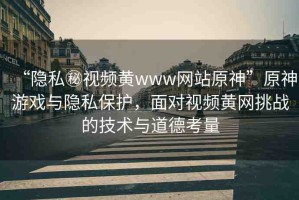 “隱私秘視頻黃www網(wǎng)站原神”原神游戲與隱私保護，面對視頻黃網(wǎng)挑戰(zhàn)的技術與道德考量