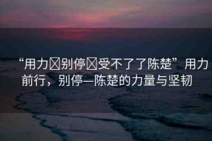 “用力?別停?受不了了陳楚”用力前行，別停—陳楚的力量與堅(jiān)韌
