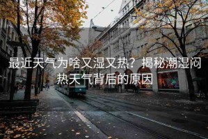 最近天氣為啥又濕又熱？揭秘潮濕悶熱天氣背后的原因
