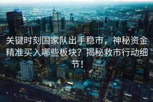 關(guān)鍵時(shí)刻國家隊(duì)出手穩(wěn)市，神秘資金精準(zhǔn)買入哪些板塊？揭秘救市行動(dòng)細(xì)節(jié)！