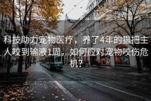 科技助力寵物醫(yī)療，養(yǎng)了4年的貓把主人咬到輸液1周，如何應(yīng)對(duì)寵物咬傷危機(jī)？