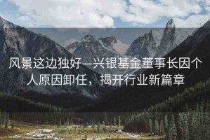 風景這邊獨好—興銀基金董事長因個人原因卸任，揭開行業(yè)新篇章
