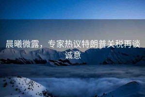 晨曦微露，專家熱議特朗普關稅再談誠意