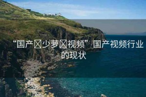 “國產(chǎn)?少蘿?視頻”國產(chǎn)視頻行業(yè)的現(xiàn)狀