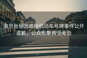 演員張儷因遮擋機(jī)動(dòng)車號牌事件公開道歉，公眾形象再受考驗(yàn)