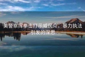 美警察揮拳擊打示威民眾，暴力執(zhí)法引發(fā)的深思