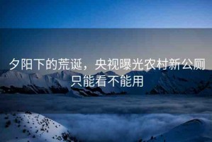 夕陽下的荒誕，央視曝光農(nóng)村新公廁只能看不能用
