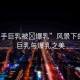 “綱手巨乳被?爆乳”風景下的綱手巨乳與爆乳之美