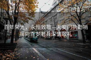 百年榮光，永恒致敬—天安門執(zhí)勤哨兵向百歲老兵深情敬禮