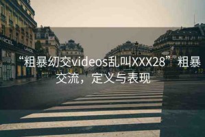 “粗暴?交videos亂叫XXX28”粗暴交流，定義與表現(xiàn)