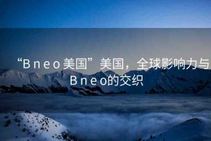 “B n e o 美國”美國，全球影響力與B n e o的交織