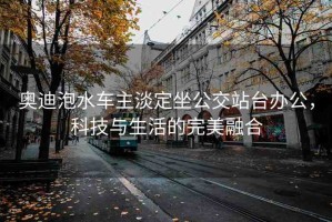 奧迪泡水車主淡定坐公交站臺辦公，科技與生活的完美融合