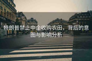 特朗普禁止中企收購農(nóng)田，背后的意圖與影響分析