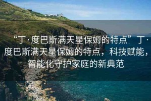 “丁·度巴斯?jié)M天星保姆的特點(diǎn)”丁·度巴斯?jié)M天星保姆的特點(diǎn)，科技賦能，智能化守護(hù)家庭的新典范