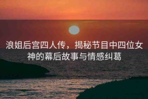 浪姐后宮四人傳，揭秘節(jié)目中四位女神的幕后故事與情感糾葛