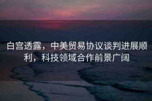 白宮透露，中美貿(mào)易協(xié)議談判進(jìn)展順利，科技領(lǐng)域合作前景廣闊