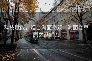 科技賦能，煙臺(tái)海面奇觀—海面變草原之謎解密