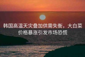 韓國高溫天災(zāi)疊加供需失衡，大白菜價格暴漲引發(fā)市場恐慌
