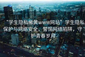 “學(xué)生隱私秘黃www網(wǎng)站”學(xué)生隱私保護與網(wǎng)絡(luò)安全，警惕網(wǎng)絡(luò)陷阱，守護青春歲月