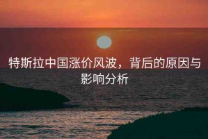 特斯拉中國漲價風(fēng)波，背后的原因與影響分析
