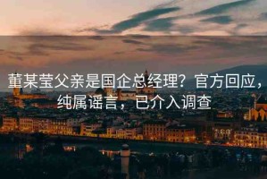 董某瑩父親是國企總經(jīng)理？官方回應(yīng)，純屬謠言，已介入調(diào)查