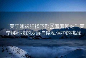 “芙寧娜被狂揉下部?羞羞網(wǎng)站”芙寧娜科技的發(fā)展與隱私保護的挑戰(zhàn)