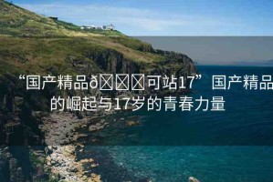 “國產(chǎn)精品??可站17”國產(chǎn)精品的崛起與17歲的青春力量