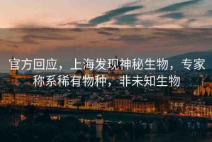 官方回應(yīng)，上海發(fā)現(xiàn)神秘生物，專家稱系稀有物種，非未知生物