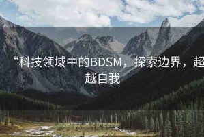 “科技領(lǐng)域中的BDSM，探索邊界，超越自我