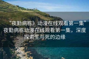“夜勤病棟》動漫在線觀看第一集”夜勤病棟動漫在線觀看第一集，深度探索生與死的邊緣