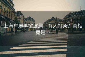 上海車(chē)展再掀波瀾，有人打架？真相竟是…