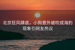 北京狂風(fēng)肆虐，小狗意外被吹成海豹現(xiàn)象引網(wǎng)友熱議