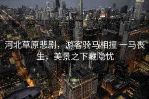 河北草原悲劇，游客騎馬相撞 一馬喪生，美景之下藏隱憂