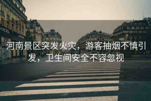 河南景區(qū)突發(fā)火災(zāi)，游客抽煙不慎引發(fā)，衛(wèi)生間安全不容忽視