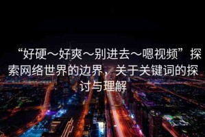 “好硬～好爽～別進(jìn)去～嗯視頻”探索網(wǎng)絡(luò)世界的邊界，關(guān)于關(guān)鍵詞的探討與理解