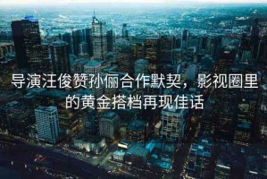 導(dǎo)演汪俊贊孫儷合作默契，影視圈里的黃金搭檔再現(xiàn)佳話