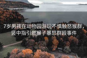 7歲男孩在動(dòng)物園游玩不慎觸怒猴群，豎中指引燃猴子暴怒群毆事件