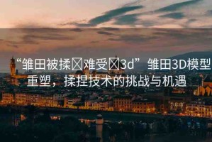 “雛田被揉?難受?3d”雛田3D模型重塑，揉捏技術(shù)的挑戰(zhàn)與機(jī)遇