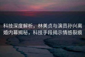 科技深度解析，林美貞與演員孫興離婚內(nèi)幕揭秘，科技手段揭示情感裂痕