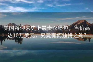 美國將迎來史上最貴漢堡包，售價高達10萬美元，究竟有何獨特之處？