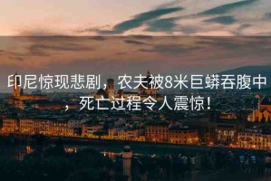 印尼驚現(xiàn)悲劇，農(nóng)夫被8米巨蟒吞腹中，死亡過程令人震驚！