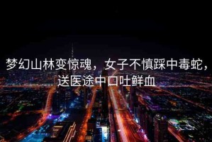 夢幻山林變驚魂，女子不慎踩中毒蛇，送醫(yī)途中口吐鮮血