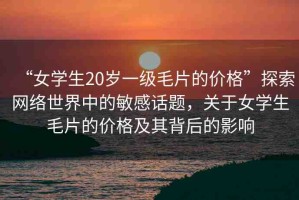 “女學生20歲一級毛片的價格”探索網(wǎng)絡(luò)世界中的敏感話題，關(guān)于女學生毛片的價格及其背后的影響