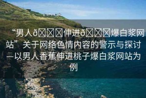 “男人??伸進(jìn)??爆白漿網(wǎng)站”關(guān)于網(wǎng)絡(luò)色情內(nèi)容的警示與探討—以男人香蕉伸進(jìn)桃子爆白漿網(wǎng)站為例