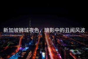 新加坡獅城夜色，暗影中的丑聞風(fēng)波