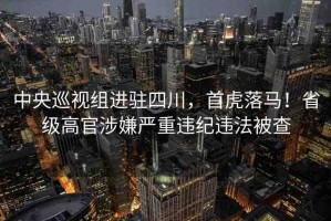 中央巡視組進駐四川，首虎落馬！省級高官涉嫌嚴重違紀違法被查