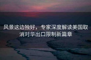 風(fēng)景這邊獨好，專家深度解讀美國取消對華出口限制新篇章