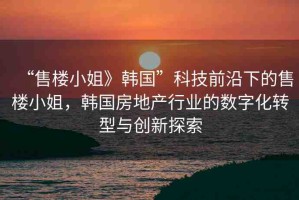 “售樓小姐》韓國”科技前沿下的售樓小姐，韓國房地產(chǎn)行業(yè)的數(shù)字化轉(zhuǎn)型與創(chuàng)新探索