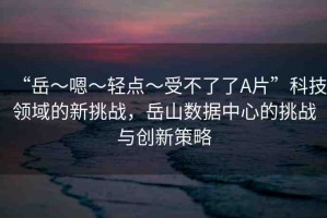 “岳～嗯～輕點(diǎn)～受不了了A片”科技領(lǐng)域的新挑戰(zhàn)，岳山數(shù)據(jù)中心的挑戰(zhàn)與創(chuàng)新策略